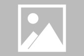 爱游戏体育官网-Scout重要时刻战术调整，C9带队取胜！-爱游戏体育官网